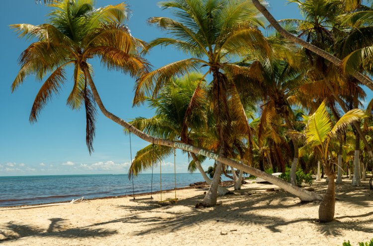 Punta Allen Un secreto del Caribe Mexicano