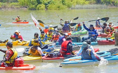 Navega río abajo y contempla el maravilloso paisaje de El fuerte, Sinaloa