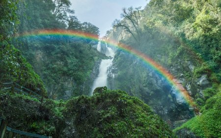 Descubre los manantiales secretos de Puebla en Jicolapa
