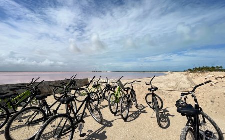 Turismo Sostenible, una oportunidad de conservación y protección de los ecosistemas de la Tierra