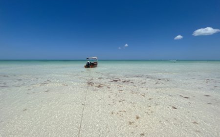 Empieza a viajar de forma sustentable con estos Tips