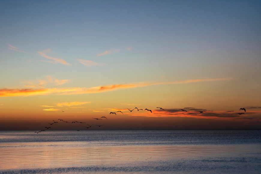 La playa más bohemia y secreta de Campeche: Sabancuy