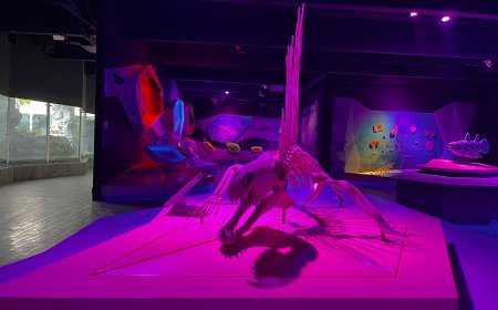 Aún quedan fechas para vivir las Noches de Museo en Puebla