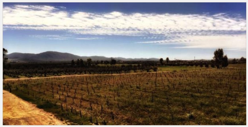 Valle de Guadalupe