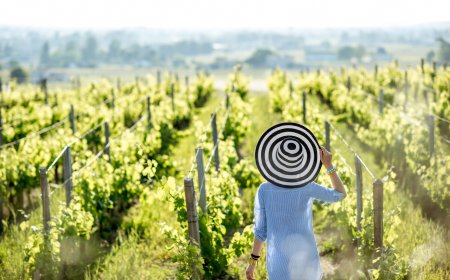 Otoño en México: escapadas imperdibles