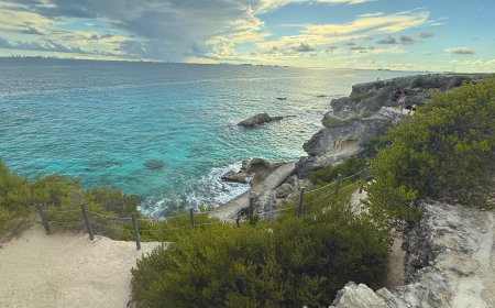 Las Mejores Tendencias de Viaje para 2025 según Expedia