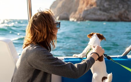 Destinos pet friendly en México para vacacionar en diciembre