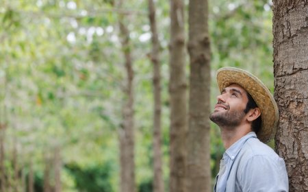 Bienestar Sostenible y Consumo Consciente: un camino hacia una vida equilibrada y responsable