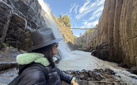 Prismas Basálticos: un espectáculo natural reconocido en México y el mundo