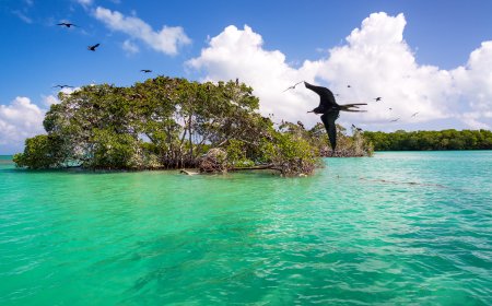 Destinos eco-friendly en México que están marcando tendencia