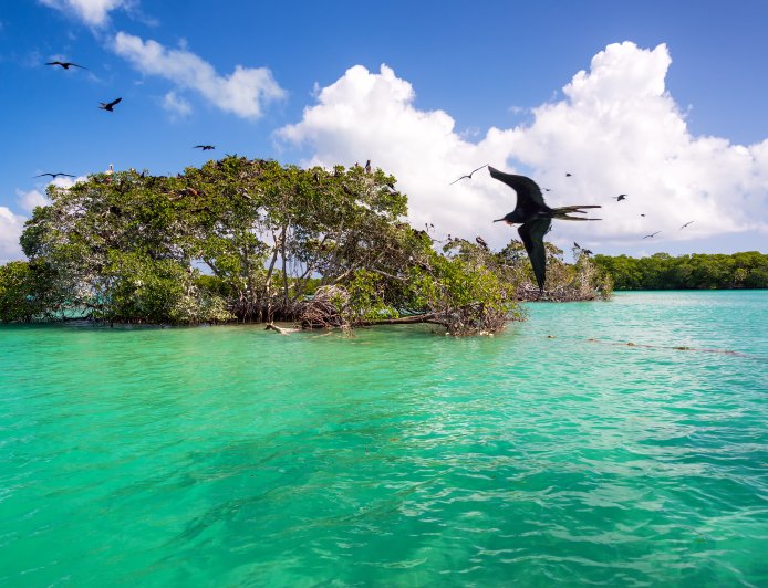 Destinos eco-friendly en México que están marcando tendencia