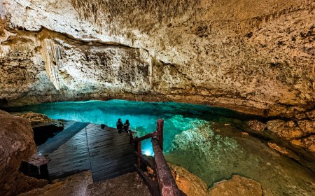 Disfruta de un viaje a la selva maya en una experiencia que incluye tierra, agua y aire.