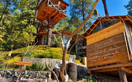 Vacaciones para desconectarse: destinos mexicanos ideales para un “digital detox”