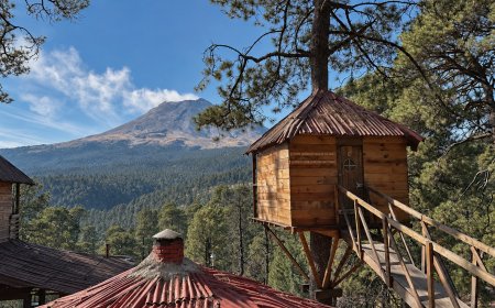 Descubre destinos de México donde una cabaña puede ser el punto de partida para cambiar de ritmo
